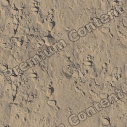 Seamless Textures of Ground + Normal & Bump Mapping
